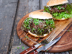 menu_item_10 a